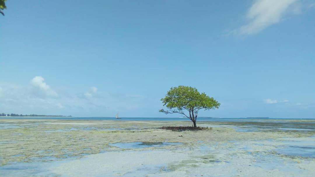 Bed and Breakfast L&J Modern Backpackers Kigamboni Beach House Dar es Salaam Zewnętrze zdjęcie