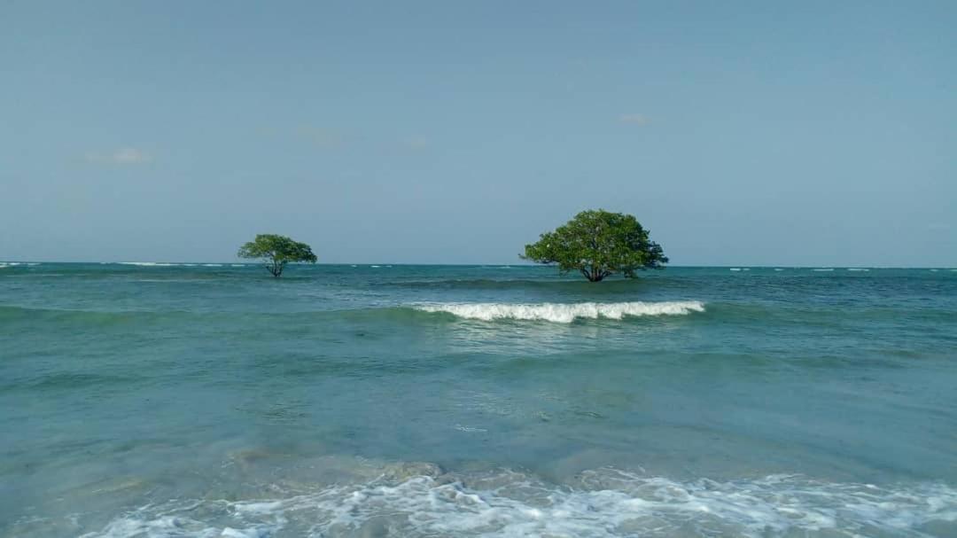 Bed and Breakfast L&J Modern Backpackers Kigamboni Beach House Dar es Salaam Zewnętrze zdjęcie
